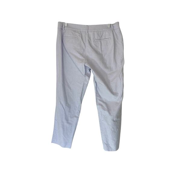 J.Crew Blue Light Academia Cotton Oxford Skimmer Straight Leg Pant Size 10 - Picture 7 of 10